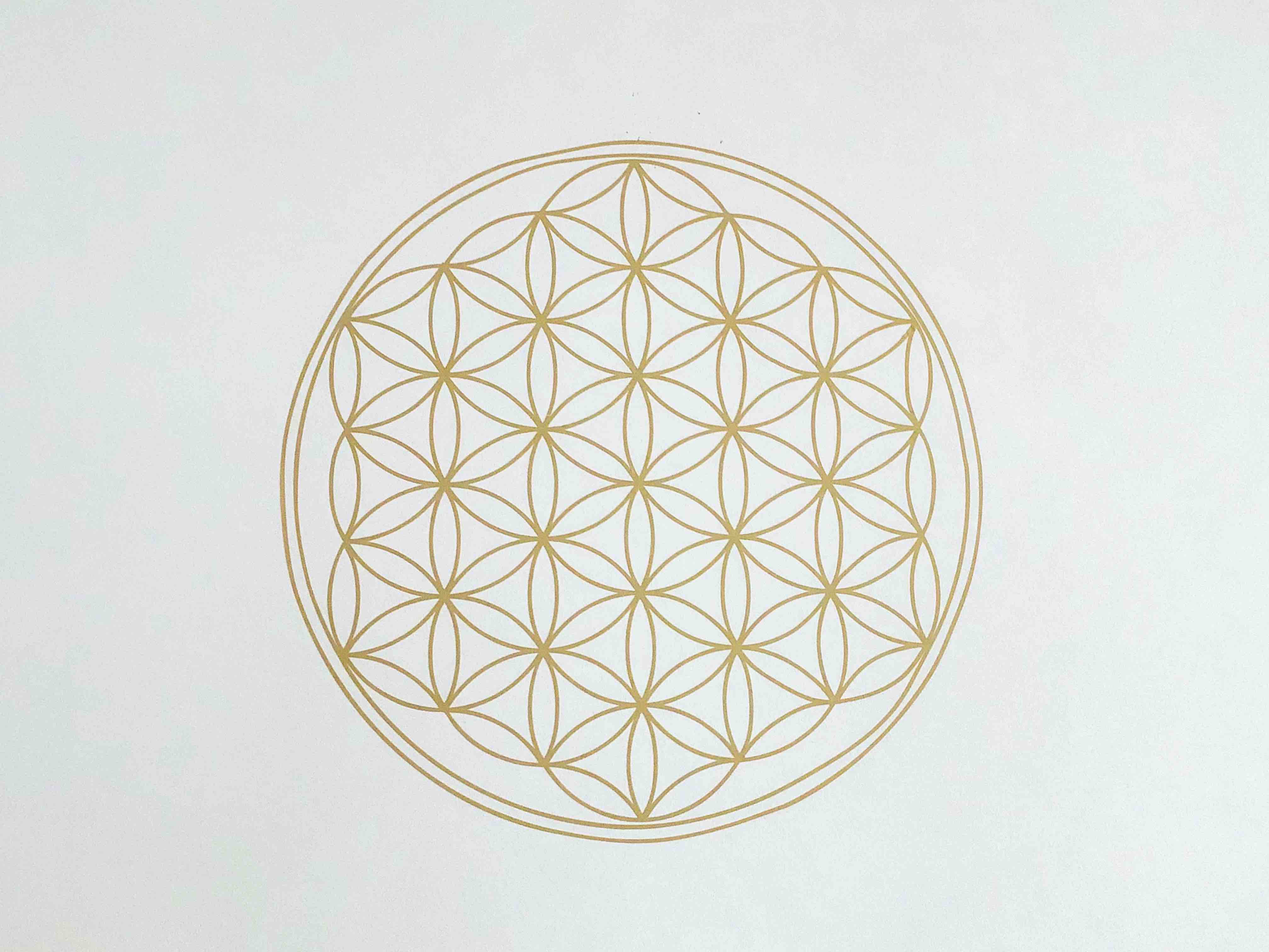 flower of life